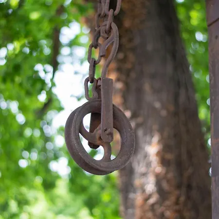 Apartment Rustico Quercetta